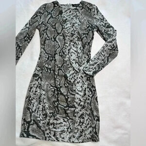 Dynamite snakeskin sweater  dress